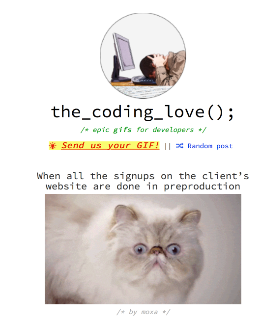 the coding love